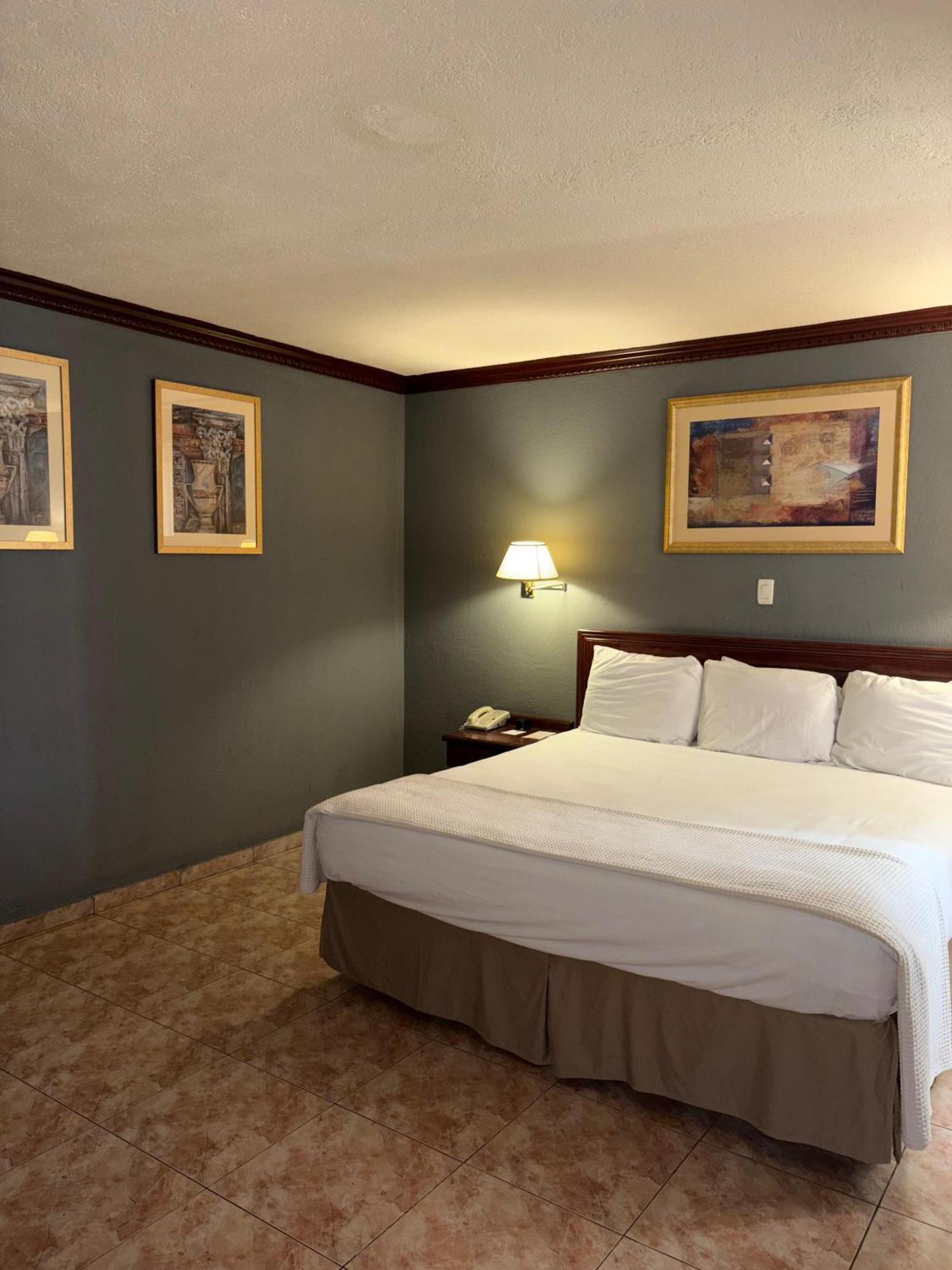 Florencia Plaza Hotel テグシガルパ エクステリア 写真